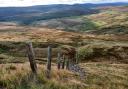 The view from Great Whernside