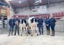 In the Skipton sale ring at the late April Craven Dairy Auction are from left, judge Will Shuttleworth, James Bolland with the reserve champion and £2,100 fresh heifer, Peter Waring and the victor, and co-sponsors Alison Carroll and Helen Whittaker.