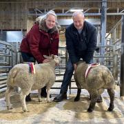 Josie Towers, left with the Continental champion and judge Mick Etherington with the reserve Down