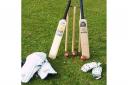 Cricket bats and stumps.