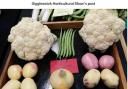 Prizewinning vegetables at a previous Giggleswick Show