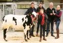Callum Ewbank with the family’s Craven Champions supreme champion Blue-cross heifer, joined by, from left, judge and buyer Michael Wynne, Mark Ewbank, and Geoff Walker presenting the Jack Walker Trophy to Fee Ewbank