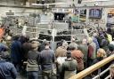 The packed ringside at CCM’s latest Saturday collective sale of cattle.
