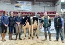 From left, Alison Carroll and Helen Whittaker, from sponsors, NMR and Massey Feeds, Jack Swales with the reserve, Robin Jennings and his champion, and judge Rob Marshall