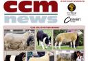 CCM News