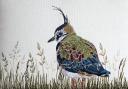 An embroidered lapwing
