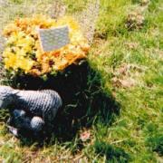 The small stone sheep ornament which has disappeared from a grave in Linton churchyard