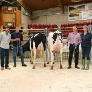 From left, judge Kev Midgley, champion Chris Bell, reserve champion Mark Smith – his heifer topped at £3,300 - and Helen Whittaker, of main sponsors National Milk Records.