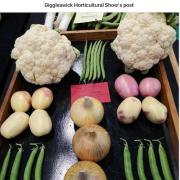 Prizewinning vegetables at a previous Giggleswick Show