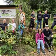 Members of Incredible Edible Skipton on their community allotment