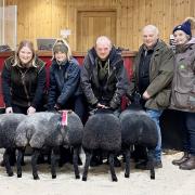 Brian and Linda Lund, right, joined by family members Rick and Chrissie, and Evie Lewis, left, on work experience at the farm