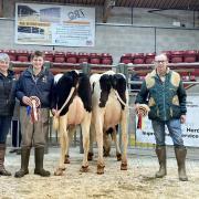 From left, Alison Carroll and Helen Whittaker, from sponsors, NMR and Massey Feeds, Jack Swales with the reserve, Robin Jennings and his champion, and judge Rob Marshall