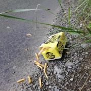 Littering at the roadside