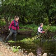 : Volunteers willow spiling to create natural flood management.