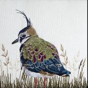 An embroidered lapwing