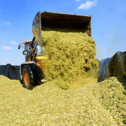 Farmers have been warned to prevent silage leaks into local watercourses.