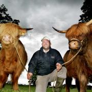 Robert Phillip of Green Farm in Hellifield with Highland cattle calfs Sadie and Melody
