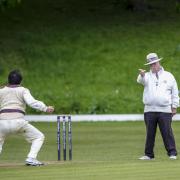 Have you got what it takes to be a cricket umpire?