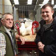 David Brewer, right, and his champion White Silkies, with judge John Falshaw