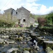 Stepping stones in Stainforth