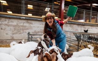 Farmer Gemma with Thornton Hall Country Park’s friendly resident Boer goats.