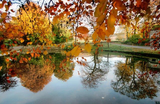 This striking photograph of the pond at Rylstone was taken by Craven Herald photographer Stephen Garnett as he was out and about on his rounds in the district. The colours reflect the changing of the seasons as autumn gets into full swing.