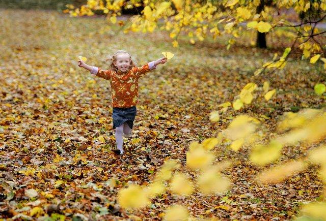 It’s a wonderful time of year to be five years old, like Dilys Smith here, as the autumn leaves make a colourful, crunchy carpet to kick your way through.