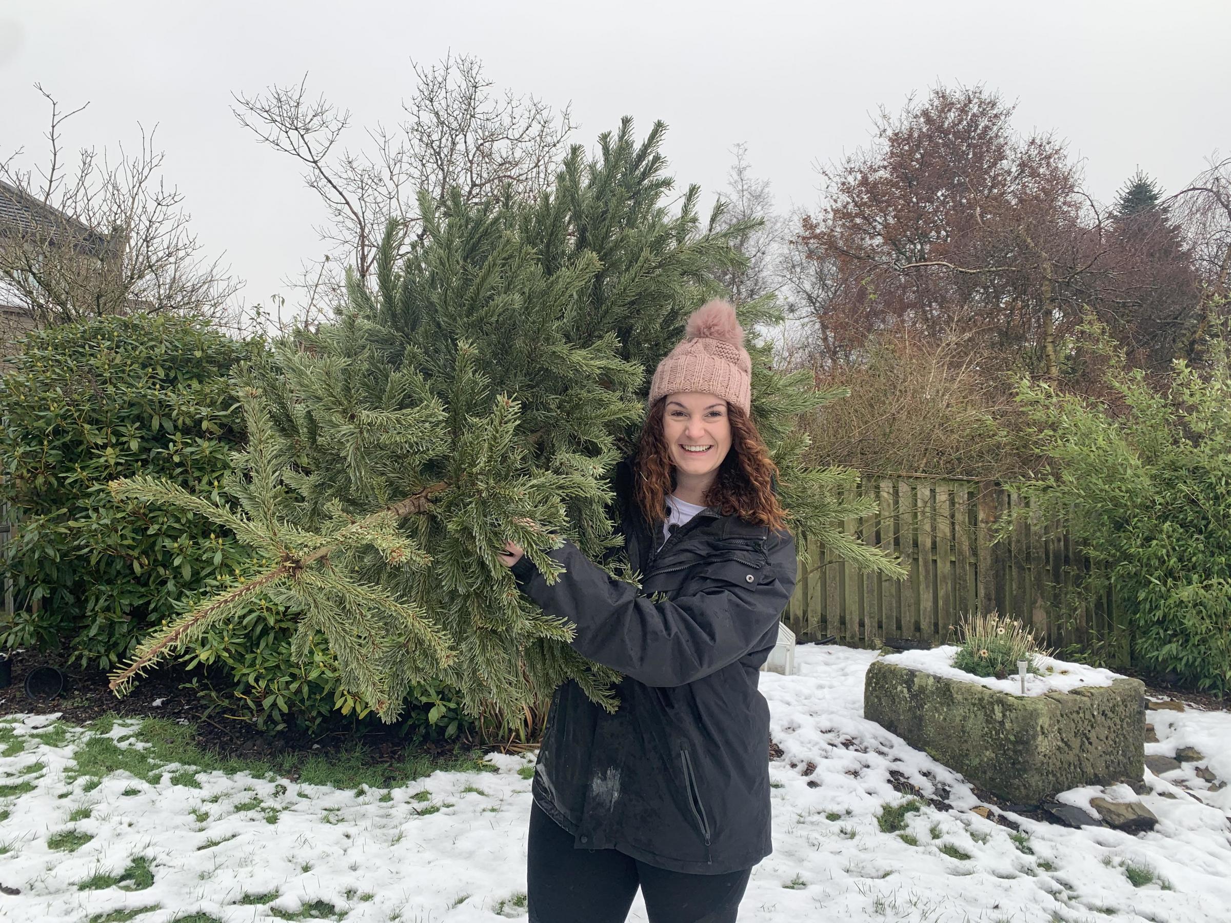 Get your Christmas tree collected in the New Year - and help Manorlands - Vimarsana News