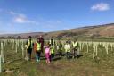 Members of SNM Centre for Oneness planting trees in Arncliffe