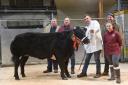 John Stephenson Jnr holds another Christmas prime cattle supreme champion, joined by father John, co-judges Phil Parkin, left, Phil Gregory and daughter Celsie.