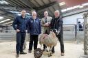 Kevin Wilson with his lamb champion, with from left: Adam Brunskill and co-judges David Pighills and Michael Burnop.