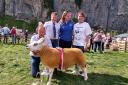 Best sheep in show at last year's Kilnsey Show