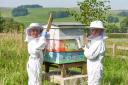Young beekeepers at Cracoe and Rylstone VC CoE Primary School