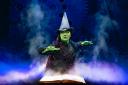 Laura Pick played the role of Elphaba (the Wicked Witch of the West) in a performance of Wicked at The Alhambra.