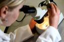 MPs have previously raised concerns about genomics giant BGI (David Davies/PA)