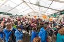 Festival brings benefits to the Dales
