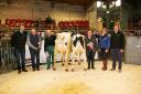 ): Pictured with the frontrunners at Skipton’s Christmas Craven Dairy Auction are, from left, PV Dobson’s William Bell, judge David Hall, champion Robert Crisp, reserve champion Brian Moorhouse, NMR’s Helen Whittaker and Dobson’s Paul Taylor