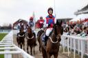 Noel Fehily rides today's nap selection at the Cheltenham Festival – Picture: David Davies/PA Wire