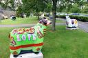 Some of the painted sheep which went on display around Skipton