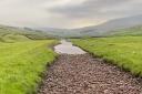 Kingsdale Beck filling with water after a storm. Video by Johnny Hartnell.