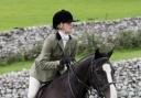 OVER HE GOES: Daniel, ridden by Esme, on his way to coming third in the Novice Horse class at Malham Show