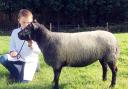 Robert Crowther Any Other Pedigree Breed Sheep 1st prize
