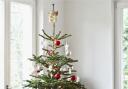 Luxury Christmas trees make return this summer ready for June-Mas