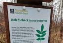 Sign in Grass Wood. Picture YWT