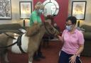 Denise Foster, activities co-ordinator at Threshfield Court, gives the visiting pony a carrot treat