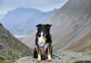 Skye started her training in Bowland