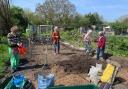 U3A members have been busy planting fruit trees on a communal allotment in Skipton