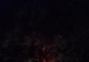 Tree set on fire following lightning strike last night. Pic Rebecca Harrison