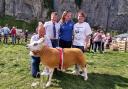 Best sheep in show at last year's Kilnsey Show