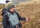 Alex Smith examines moss on Swarth Moor